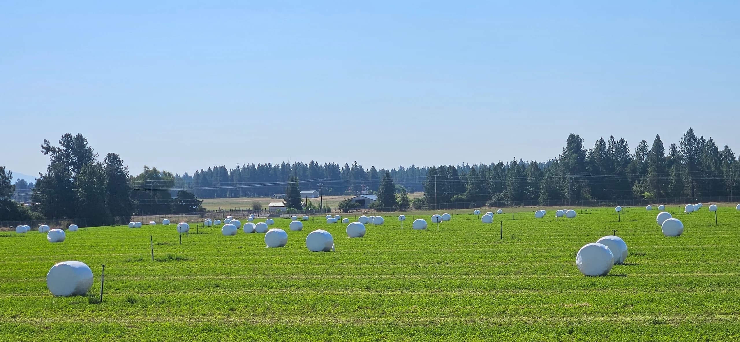 Premium hay bales stored in barn