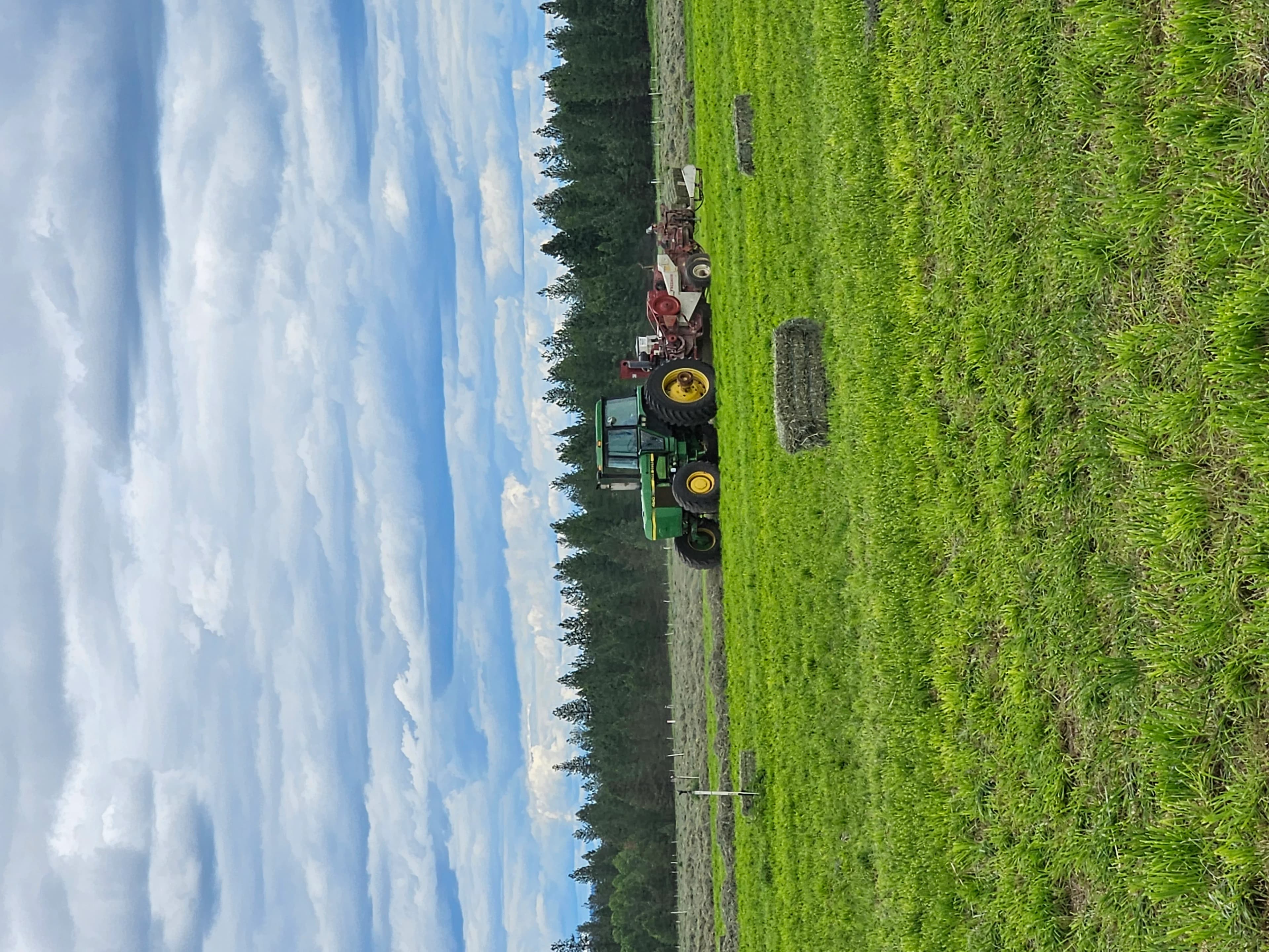 Tractor harvesting hay in the field